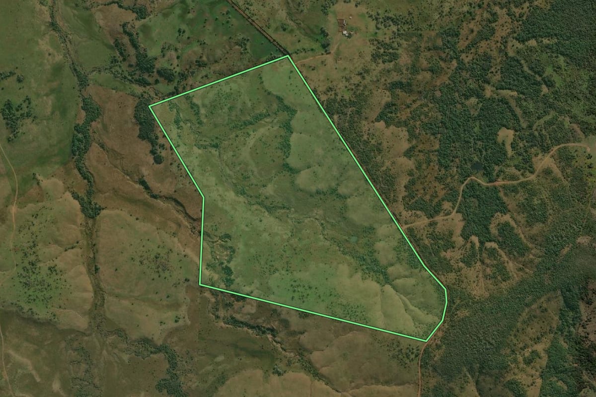 Imagem de satélite do imóvel rural em Quaraí (RS), com o contorno declarado no CAR desenhado por cima.