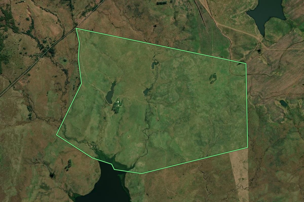 Imagem de satélite do imóvel rural em Quaraí (RS), com o contorno declarado no CAR desenhado por cima.