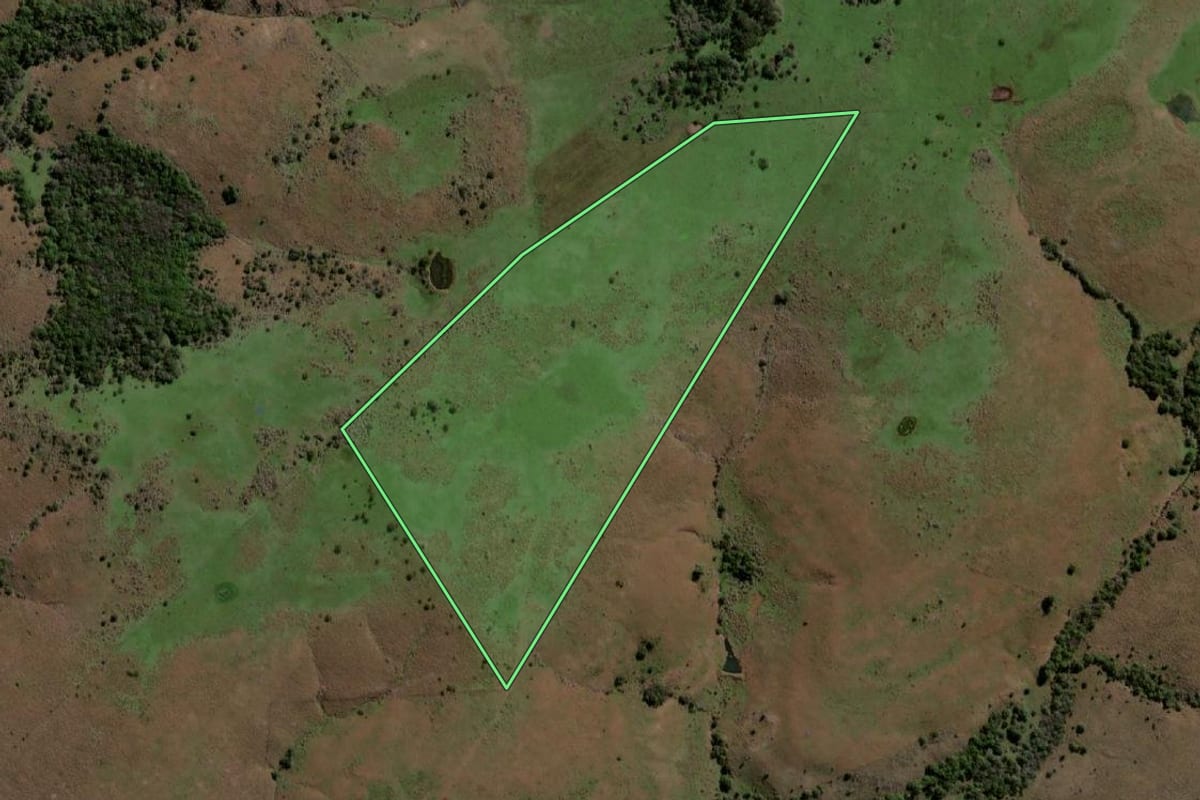 Imagem de satélite do imóvel rural em Quaraí (RS), com o contorno declarado no CAR desenhado por cima.