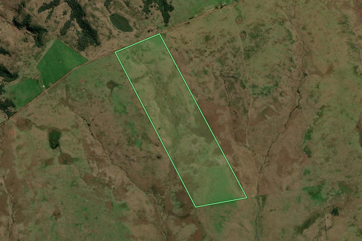 Imagem de satélite do imóvel rural em Quaraí (RS), com o contorno declarado no CAR desenhado por cima.