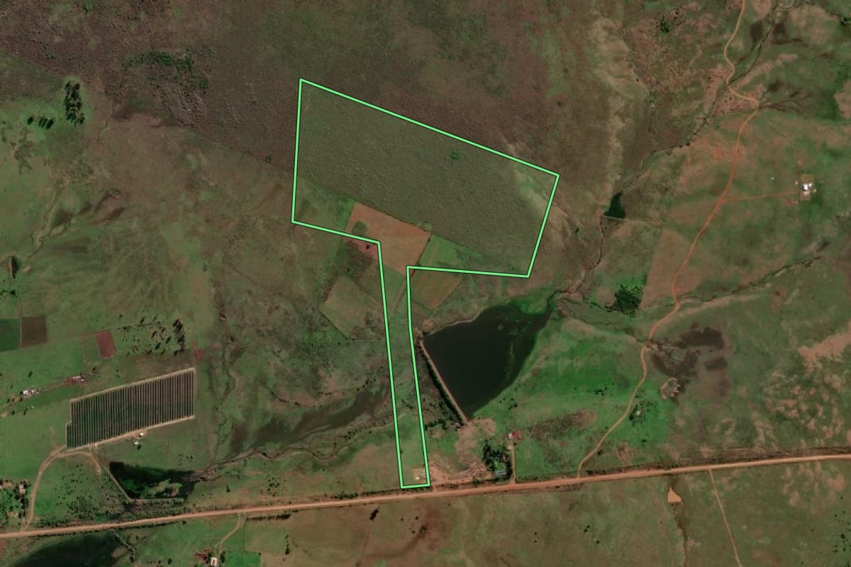 Imagem de satélite do imóvel rural em Quaraí (RS), com o contorno declarado no CAR desenhado por cima.
