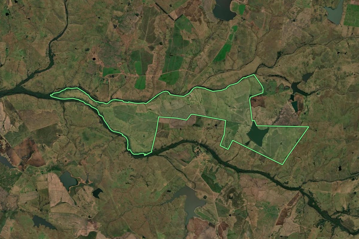Imagem de satélite do imóvel rural em Quaraí (RS), com o contorno declarado no CAR desenhado por cima.