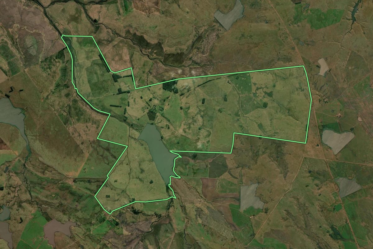 Imagem de satélite do imóvel rural em Quaraí (RS), com o contorno declarado no CAR desenhado por cima.