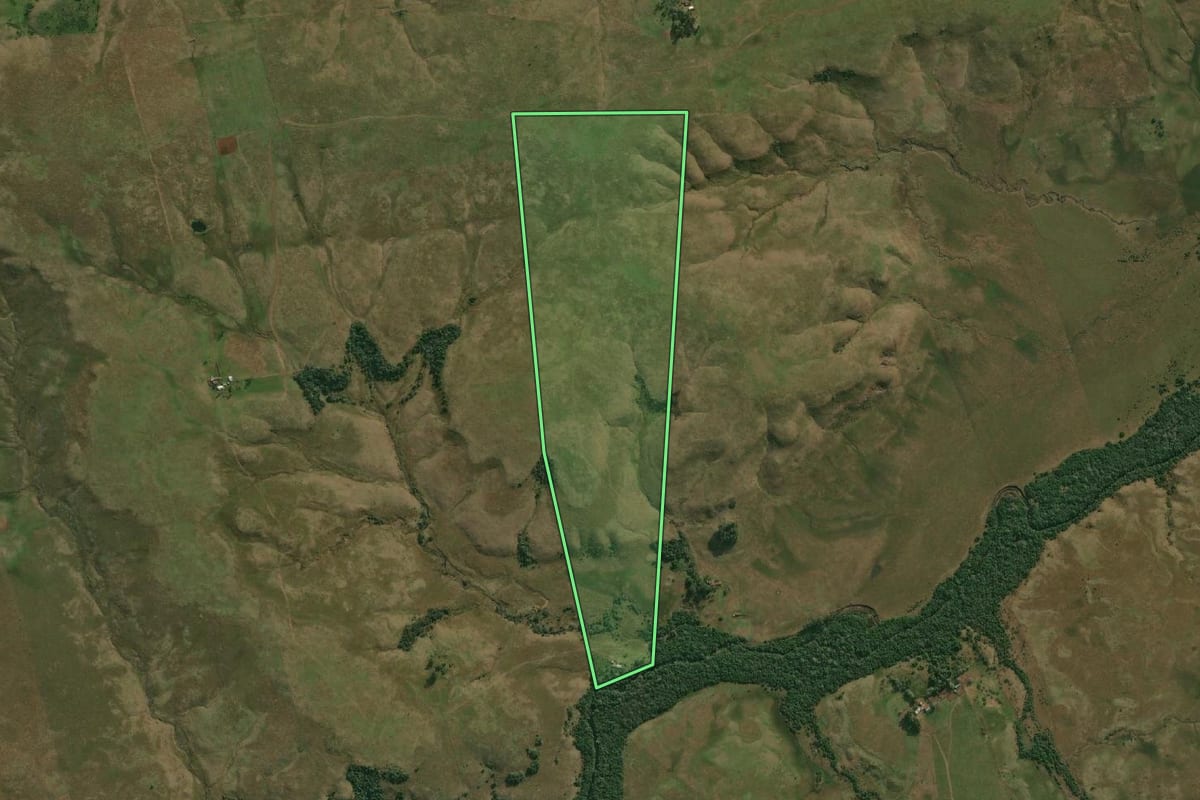 Imagem de satélite do imóvel rural em Quaraí (RS), com o contorno declarado no CAR desenhado por cima.