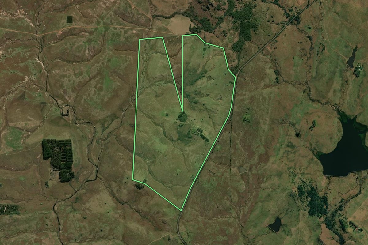 Imagem de satélite do imóvel rural em Quaraí (RS), com o contorno declarado no CAR desenhado por cima.