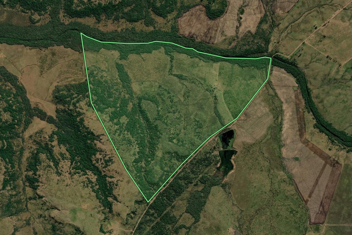 Imagem de satélite do imóvel rural em Quaraí (RS), com o contorno declarado no CAR desenhado por cima.