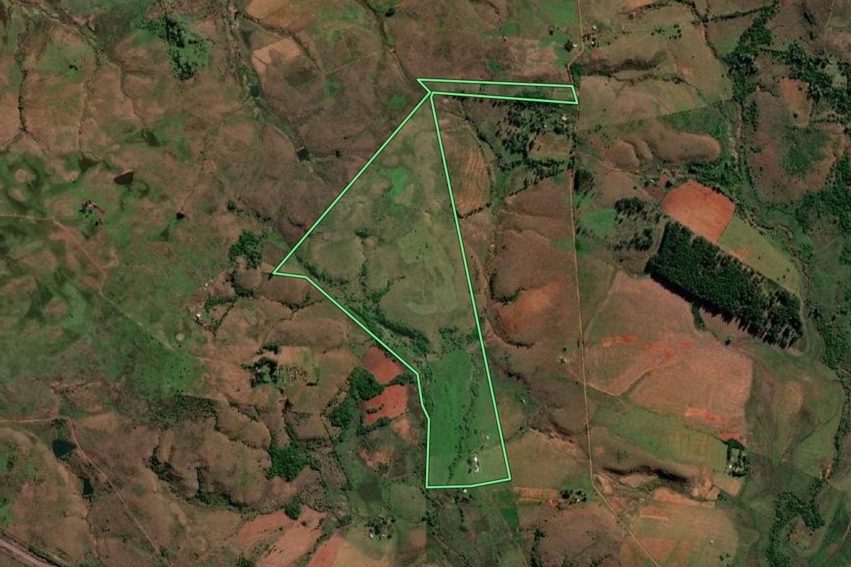Imagem de satélite do imóvel rural em Quaraí (RS), com o contorno declarado no CAR desenhado por cima.