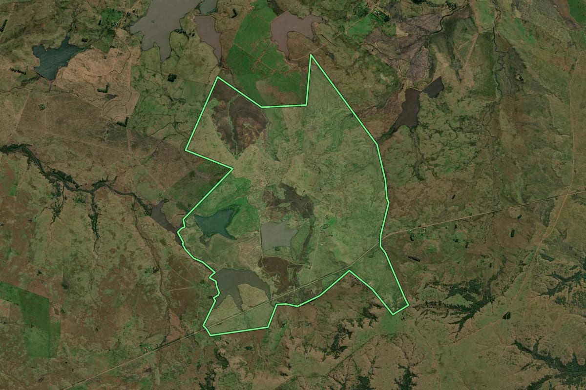 Imagem de satélite do imóvel rural em Quaraí (RS), com o contorno declarado no CAR desenhado por cima.