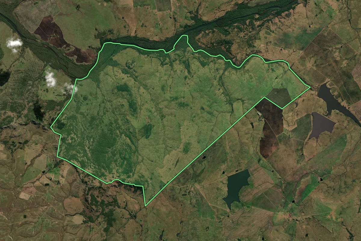 Imagem de satélite do imóvel rural em Quaraí (RS), com o contorno declarado no CAR desenhado por cima.