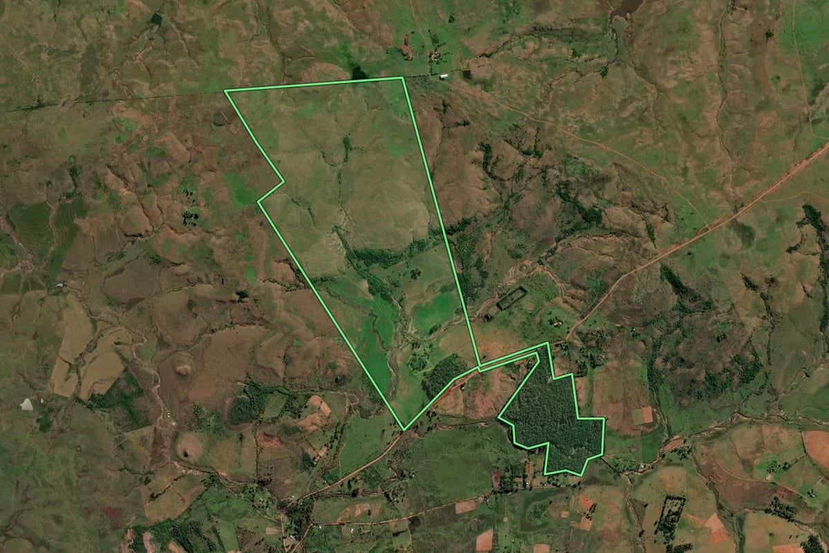 Imagem de satélite do imóvel rural em Quaraí (RS), com o contorno declarado no CAR desenhado por cima.