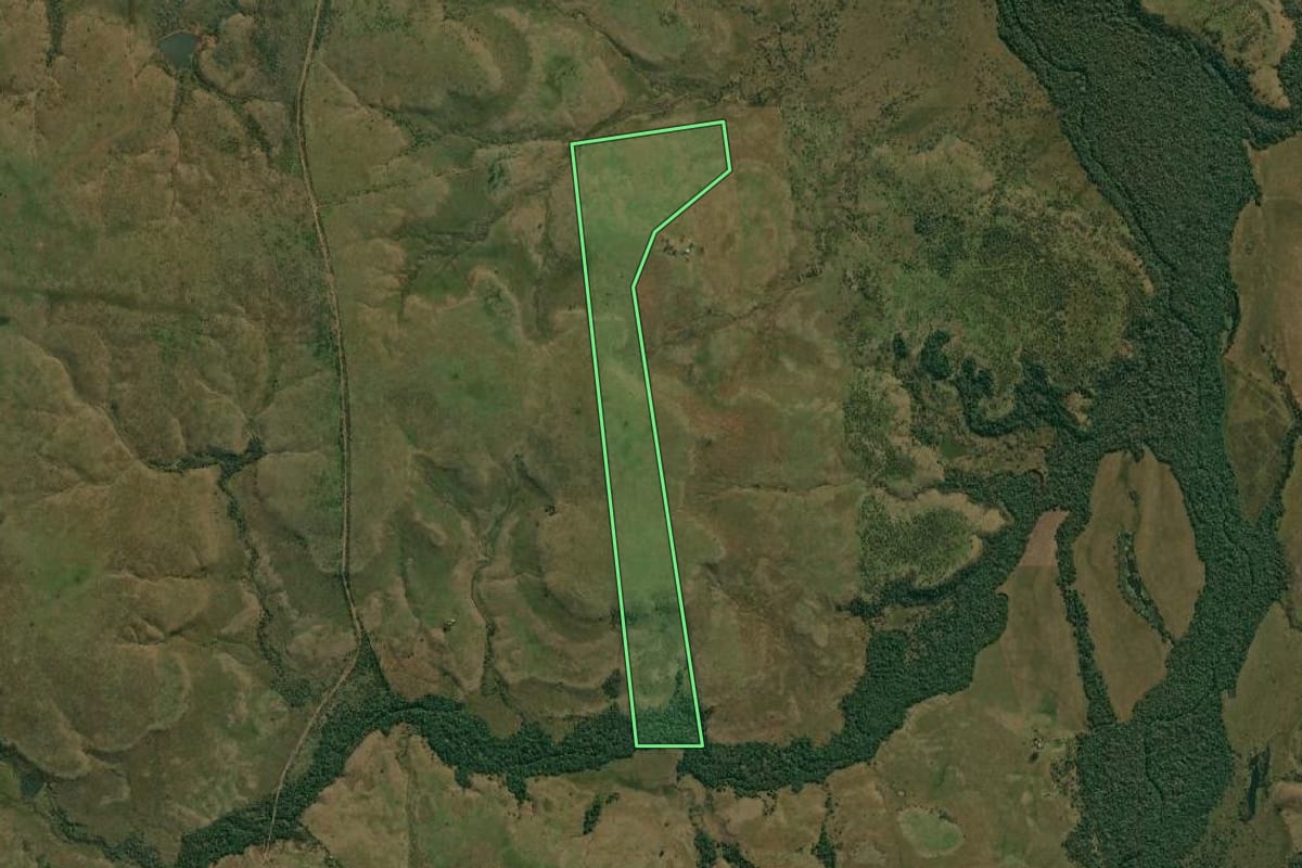 Imagem de satélite do imóvel rural em Quaraí (RS), com o contorno declarado no CAR desenhado por cima.