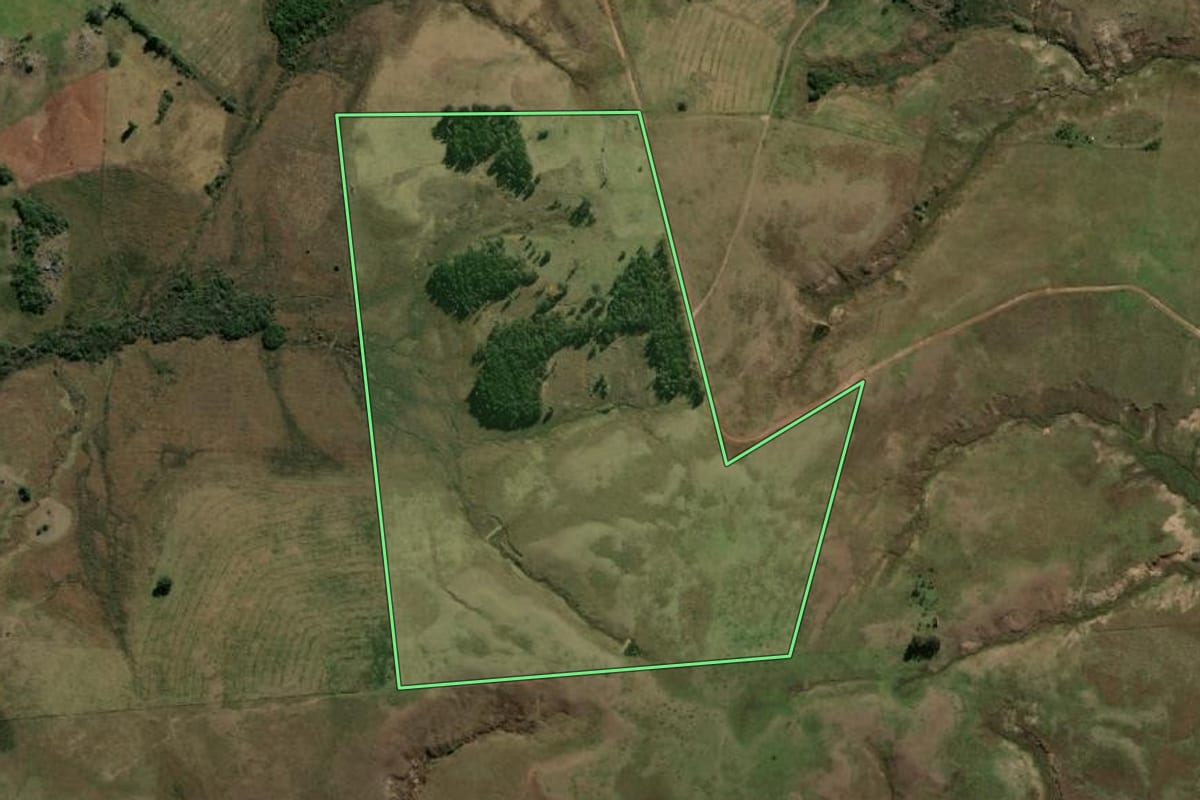 Imagem de satélite do imóvel rural em Quaraí (RS), com o contorno declarado no CAR desenhado por cima.