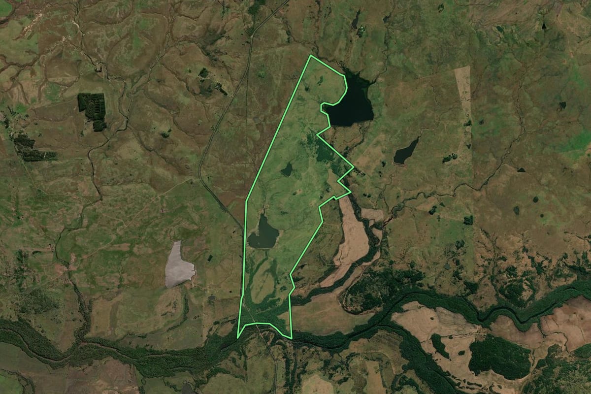 Imagem de satélite do imóvel rural em Quaraí (RS), com o contorno declarado no CAR desenhado por cima.