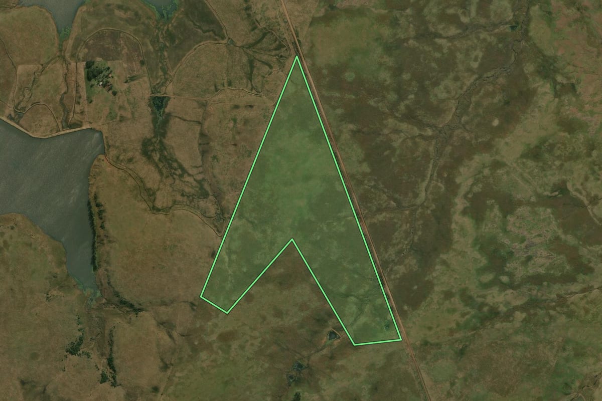 Imagem de satélite do imóvel rural em Quaraí (RS), com o contorno declarado no CAR desenhado por cima.