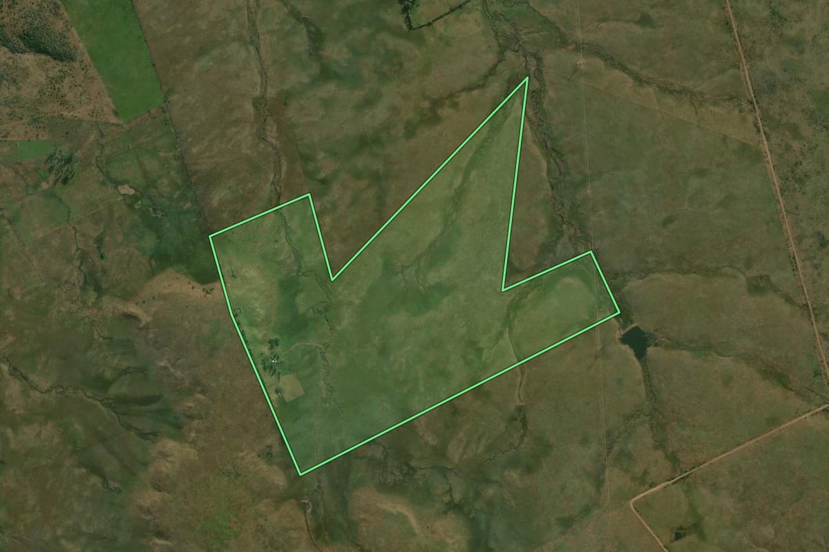 Imagem de satélite do imóvel rural em Quaraí (RS), com o contorno declarado no CAR desenhado por cima.