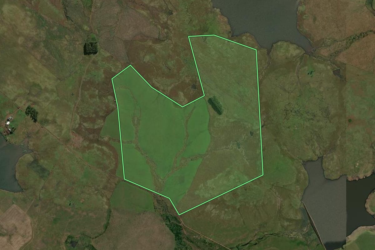 Imagem de satélite do imóvel rural em Quaraí (RS), com o contorno declarado no CAR desenhado por cima.