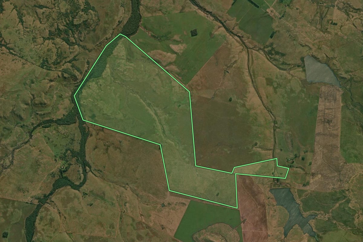 Imagem de satélite do imóvel rural em Quaraí (RS), com o contorno declarado no CAR desenhado por cima.