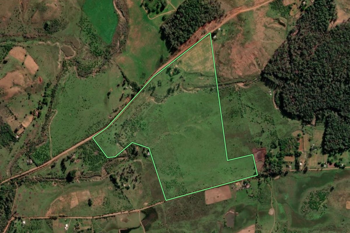 Imagem de satélite do imóvel rural em Quaraí (RS), com o contorno declarado no CAR desenhado por cima.