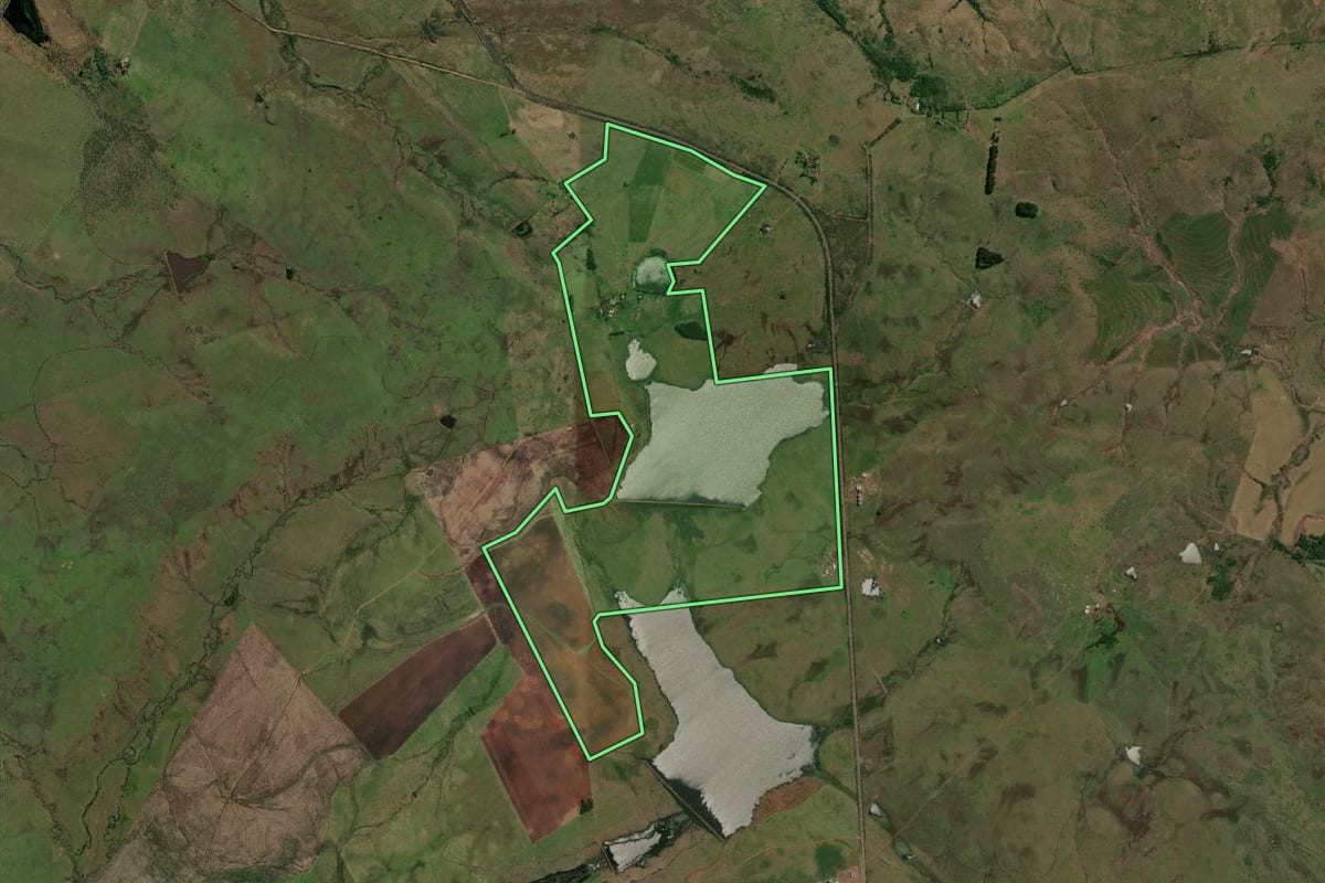 Imagem de satélite do imóvel rural em Quaraí (RS), com o contorno declarado no CAR desenhado por cima.