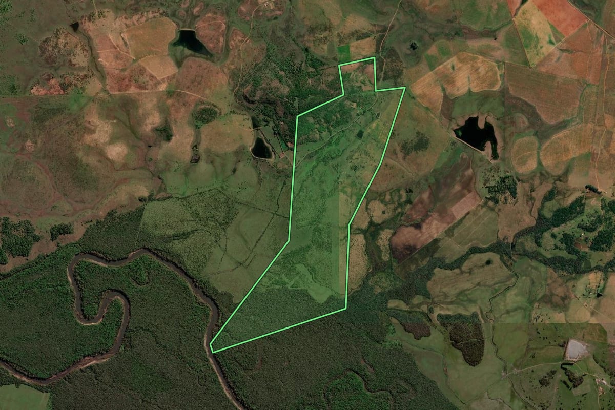 Imagem de satélite do imóvel rural em Quaraí (RS), com o contorno declarado no CAR desenhado por cima.