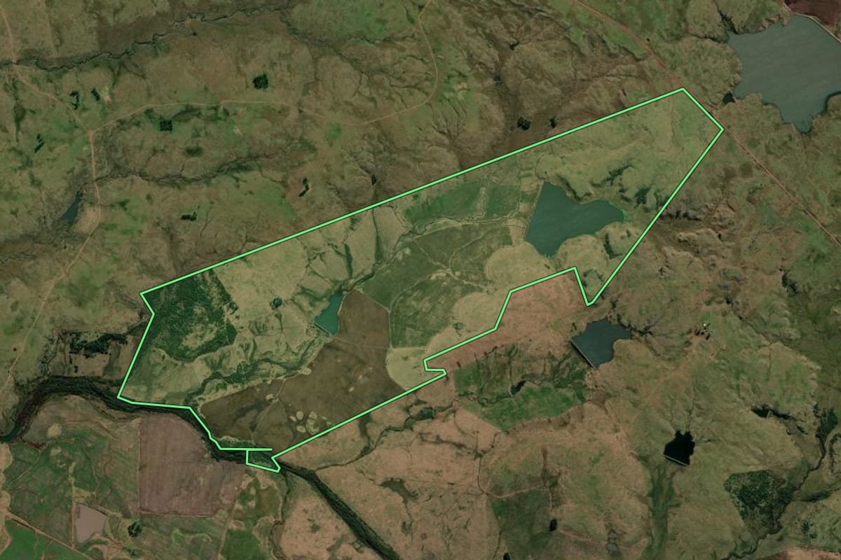Imagem de satélite do imóvel rural em Quaraí (RS), com o contorno declarado no CAR desenhado por cima.