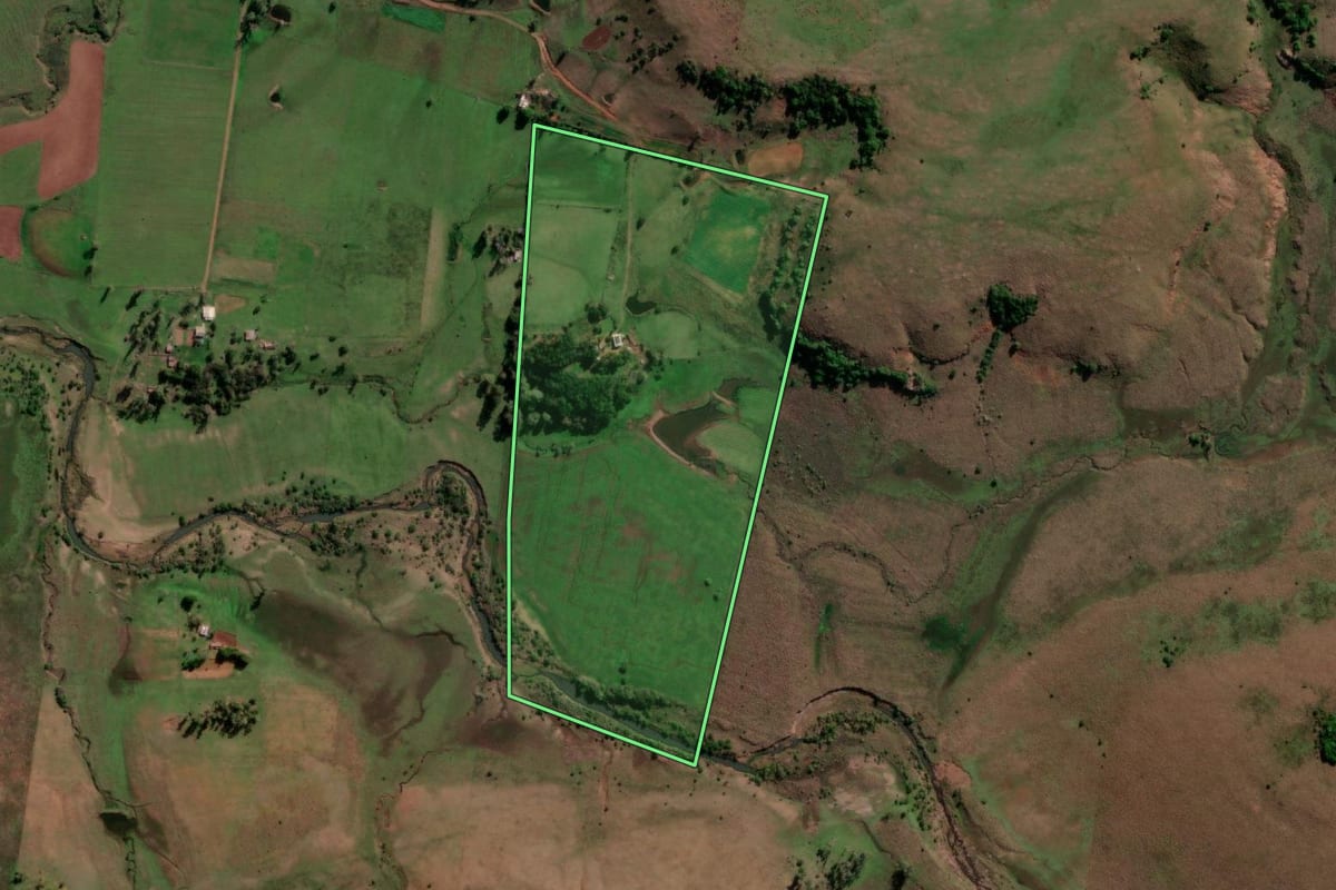 Imagem de satélite do imóvel rural em Quaraí (RS), com o contorno declarado no CAR desenhado por cima.