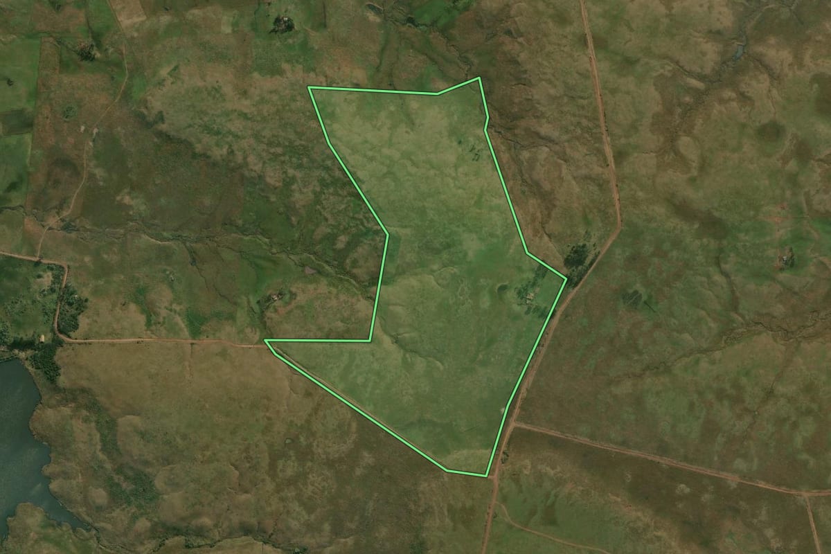 Imagem de satélite do imóvel rural em Quaraí (RS), com o contorno declarado no CAR desenhado por cima.