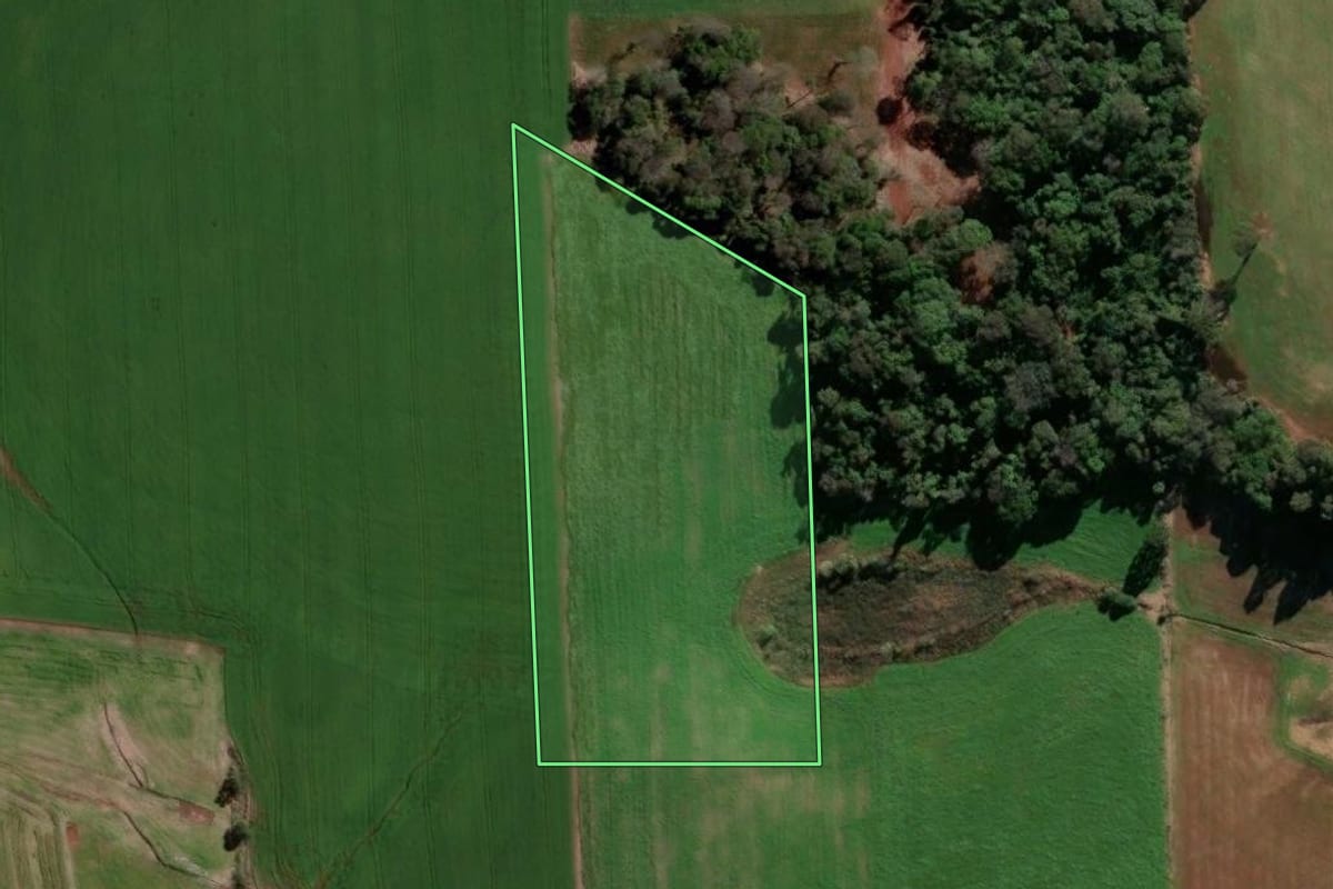 Imagem de satélite do imóvel rural em Quatro Irmãos (RS), com o contorno declarado no CAR desenhado por cima.