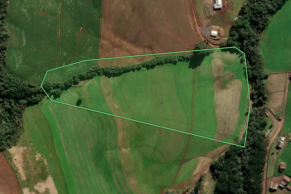 Imagem de satélite do imóvel rural em Quatro Irmãos (RS), com o contorno declarado no CAR desenhado por cima.