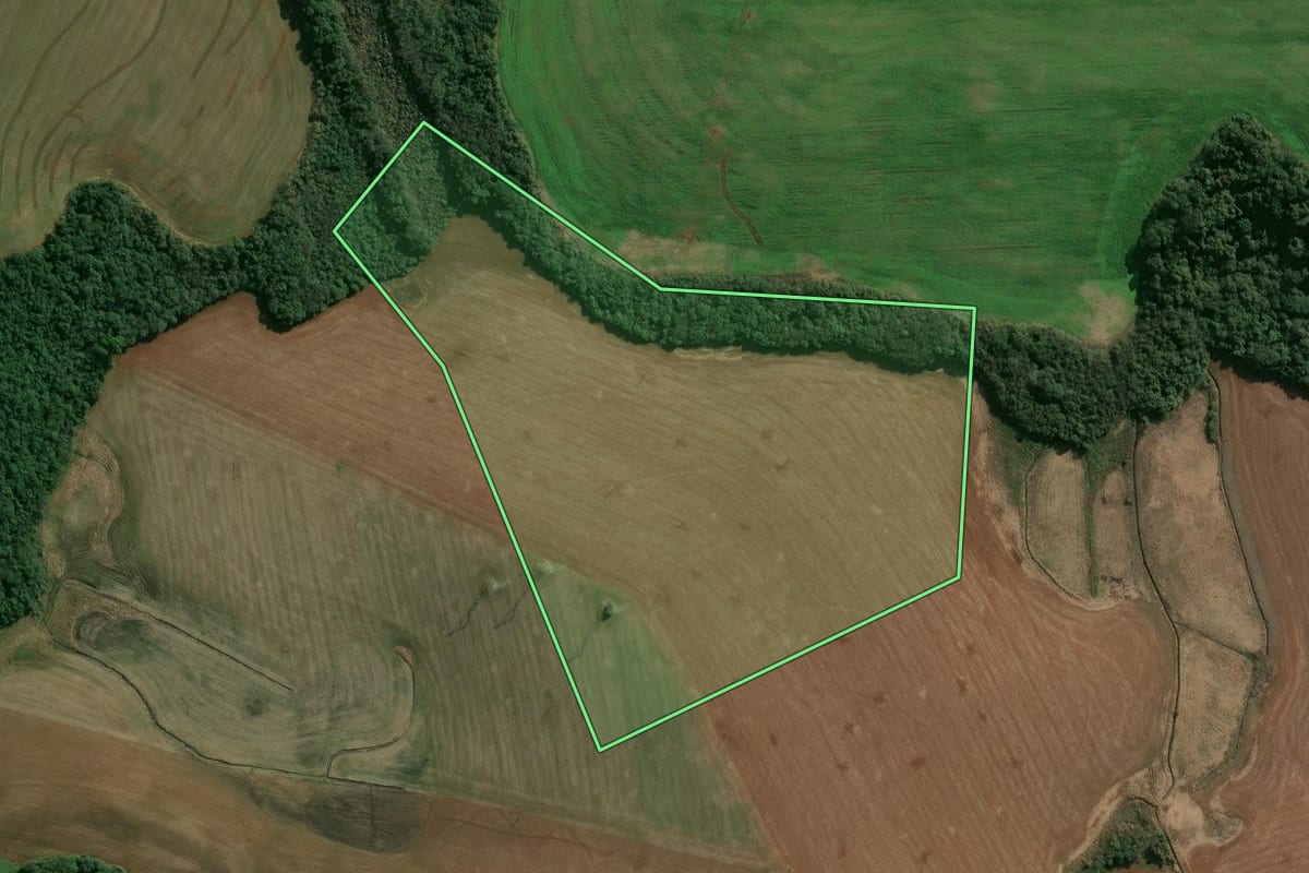 Imagem de satélite do imóvel rural em Quatro Irmãos (RS), com o contorno declarado no CAR desenhado por cima.