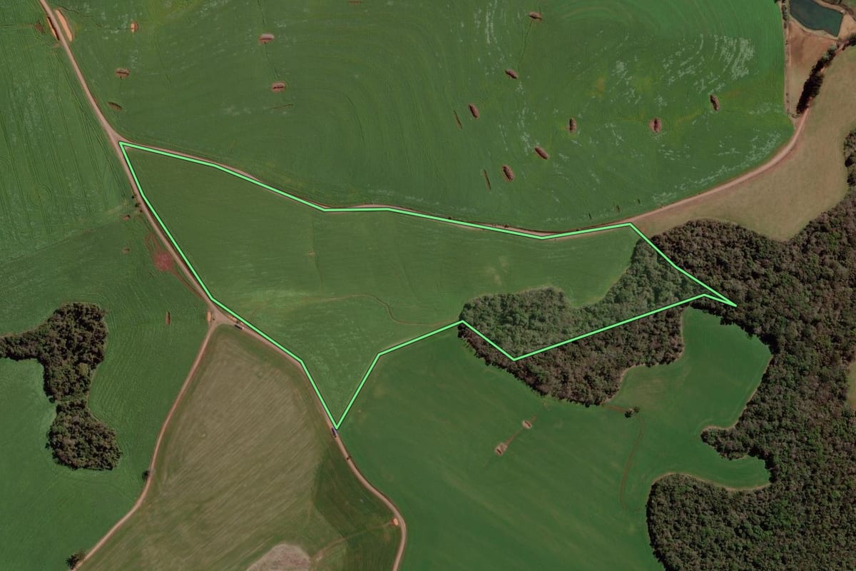 Imagem de satélite do imóvel rural em Quatro Irmãos (RS), com o contorno declarado no CAR desenhado por cima.