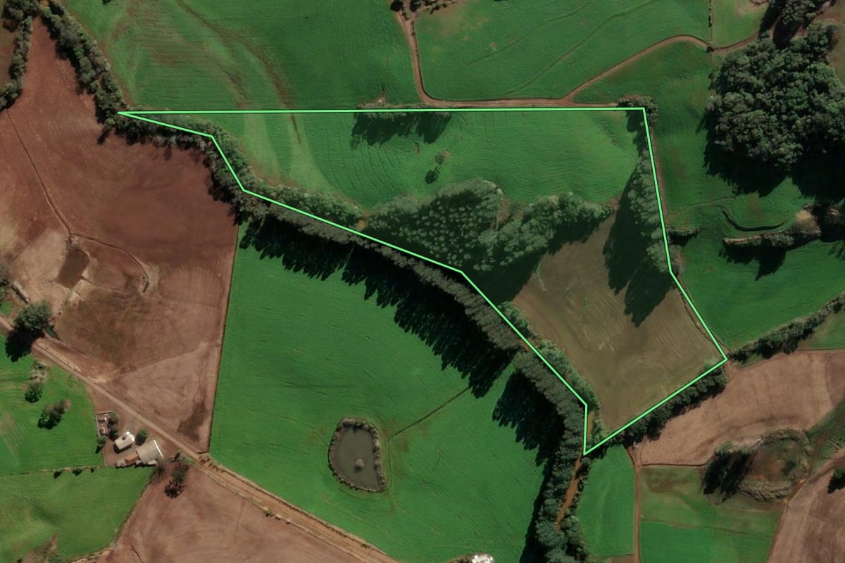 Imagem de satélite do imóvel rural em Quatro Irmãos (RS), com o contorno declarado no CAR desenhado por cima.
