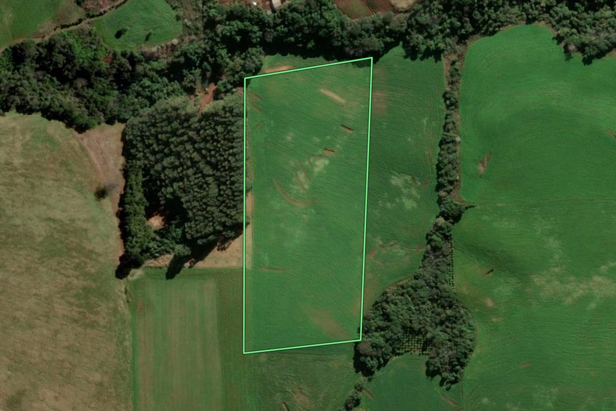 Imagem de satélite do imóvel rural em Quatro Irmãos (RS), com o contorno declarado no CAR desenhado por cima.