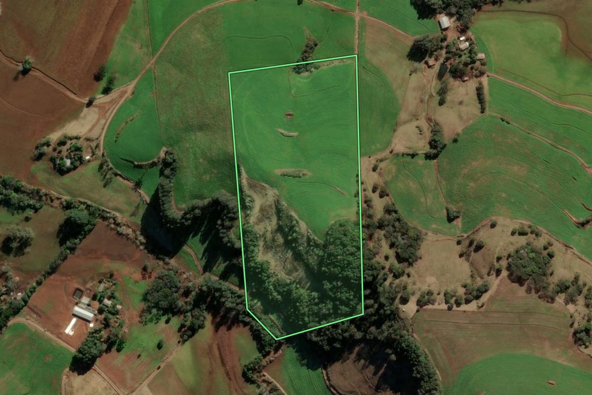 Imagem de satélite do imóvel rural em Quatro Irmãos (RS), com o contorno declarado no CAR desenhado por cima.