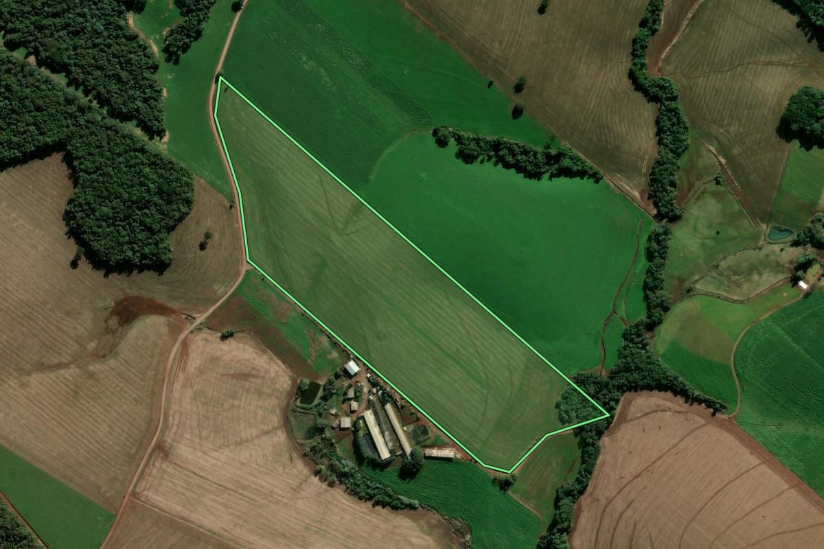 Imagem de satélite do imóvel rural em Quatro Irmãos (RS), com o contorno declarado no CAR desenhado por cima.