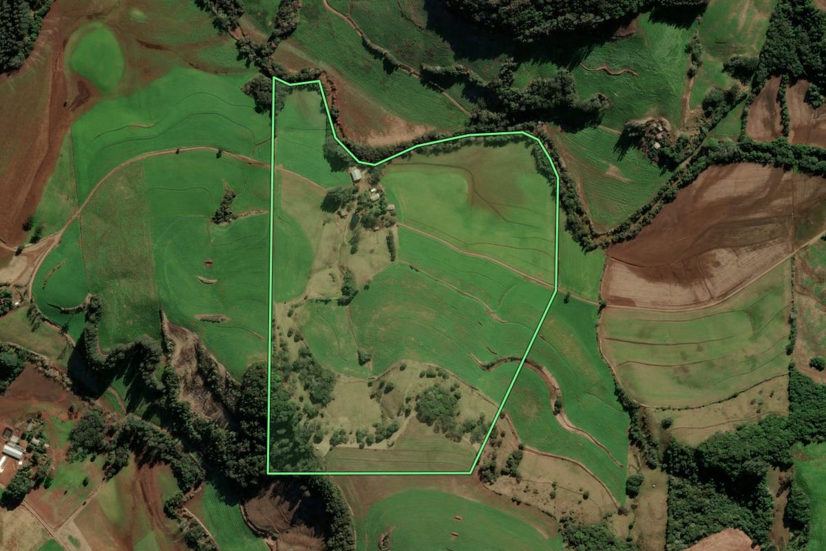 Imagem de satélite do imóvel rural em Quatro Irmãos (RS), com o contorno declarado no CAR desenhado por cima.