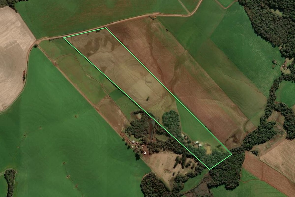 Imagem de satélite do imóvel rural em Quatro Irmãos (RS), com o contorno declarado no CAR desenhado por cima.