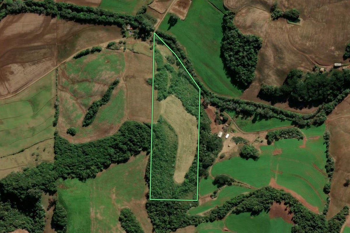 Imagem de satélite do imóvel rural em Quatro Irmãos (RS), com o contorno declarado no CAR desenhado por cima.