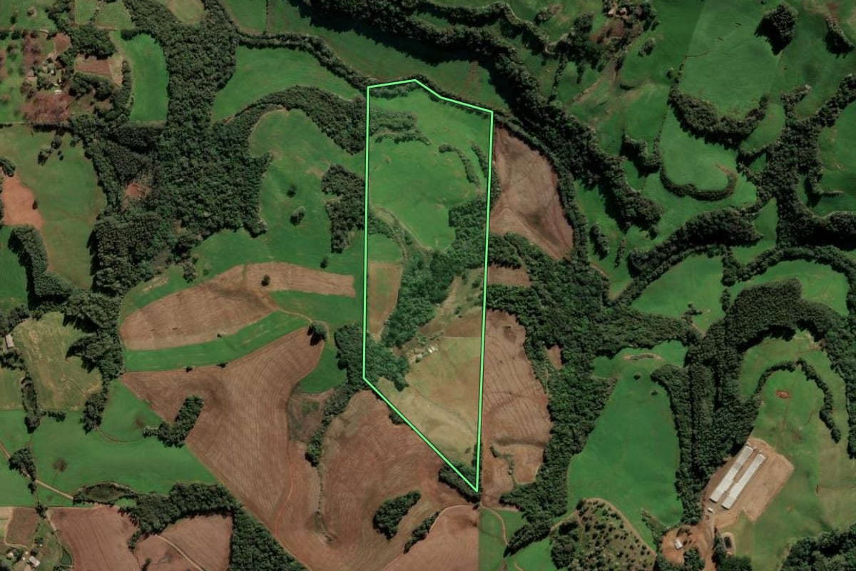 Imagem de satélite do imóvel rural em Quatro Irmãos (RS), com o contorno declarado no CAR desenhado por cima.