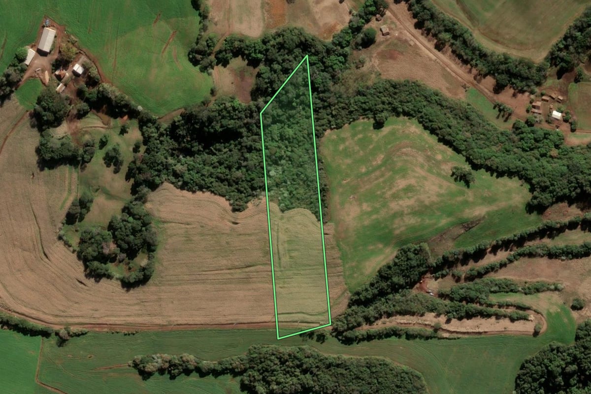 Imagem de satélite do imóvel rural em Quatro Irmãos (RS), com o contorno declarado no CAR desenhado por cima.
