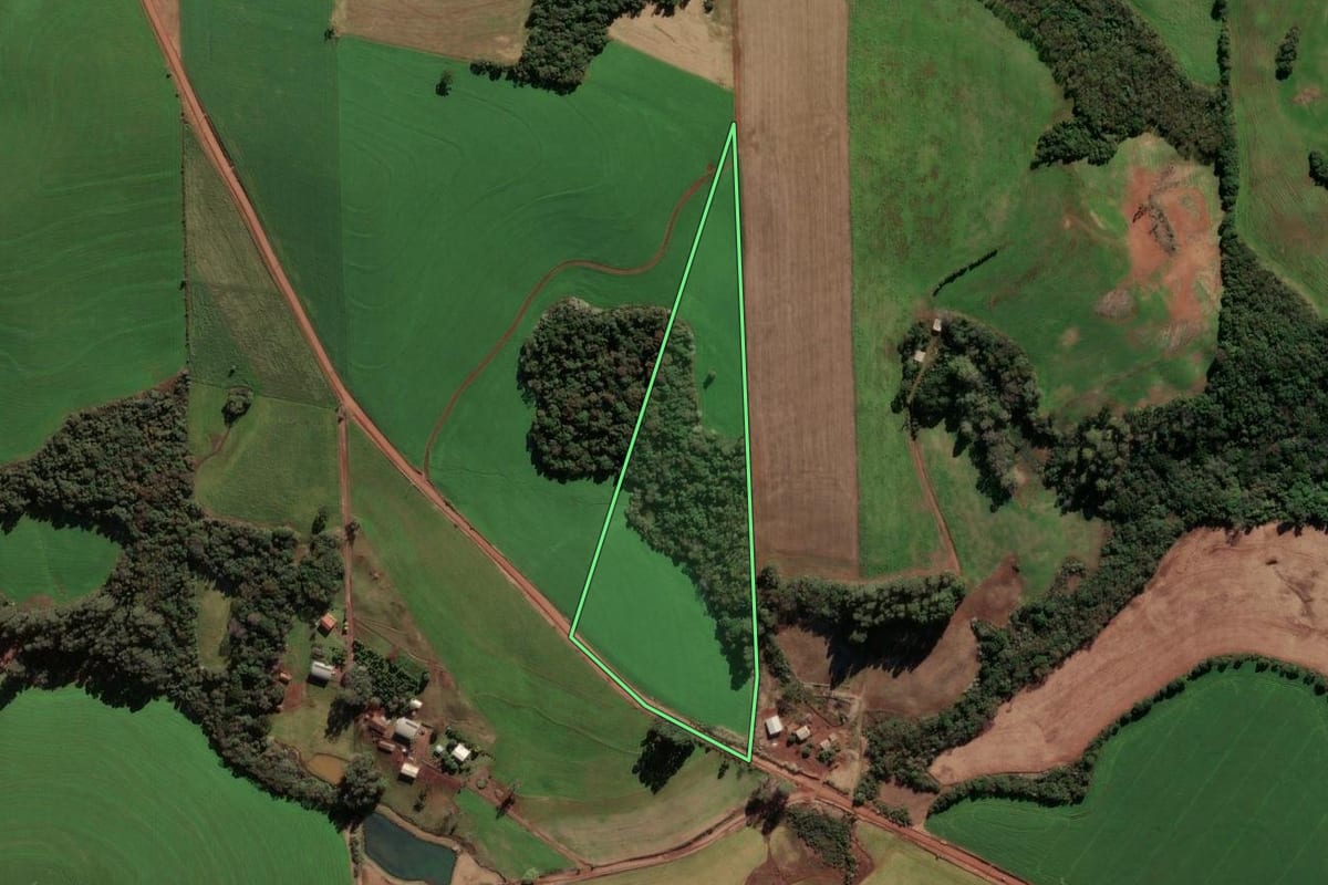 Imagem de satélite do imóvel rural em Quatro Irmãos (RS), com o contorno declarado no CAR desenhado por cima.