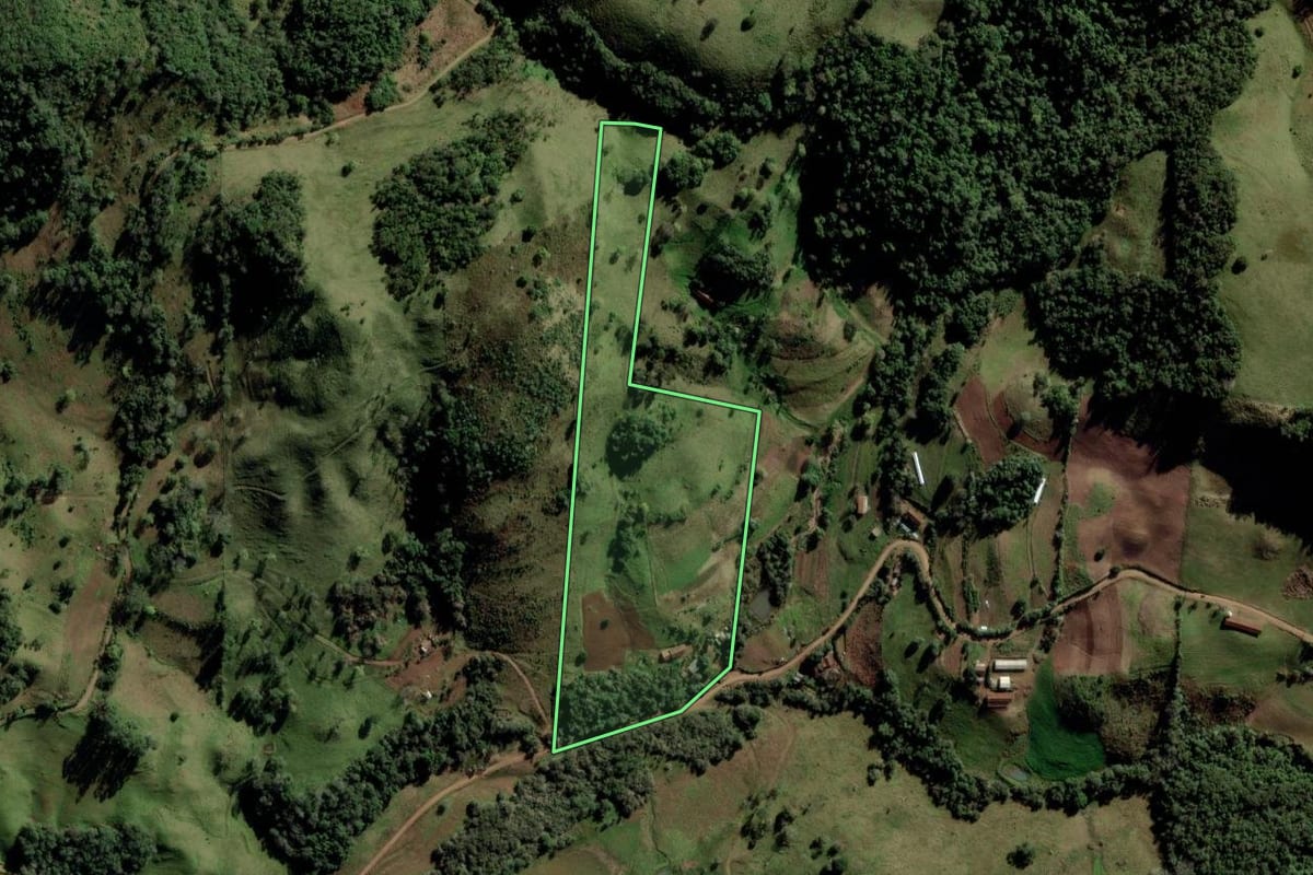 Imagem de satélite do imóvel rural em Quevedos (RS), com o contorno declarado no CAR desenhado por cima.