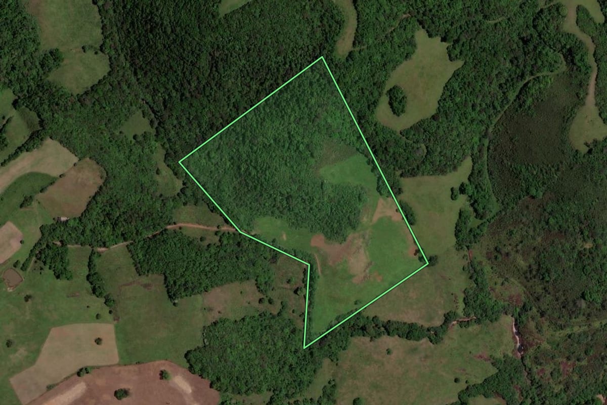 Imagem de satélite do imóvel rural em Quevedos (RS), com o contorno declarado no CAR desenhado por cima.