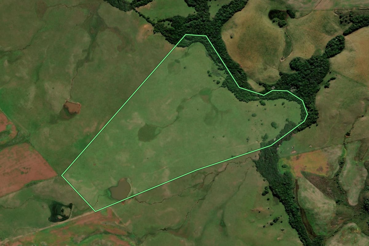 Imagem de satélite do imóvel rural em Quevedos (RS), com o contorno declarado no CAR desenhado por cima.