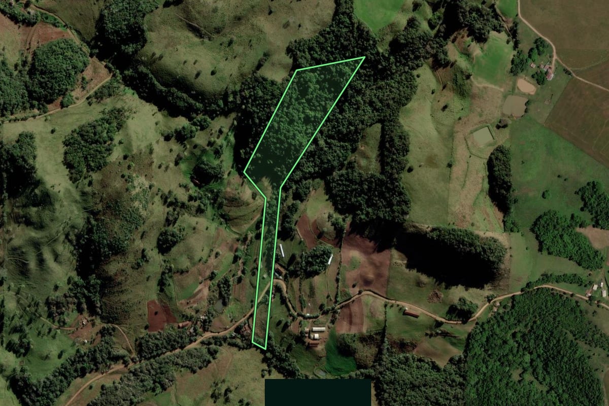 Imagem de satélite do imóvel rural em Quevedos (RS), com o contorno declarado no CAR desenhado por cima.