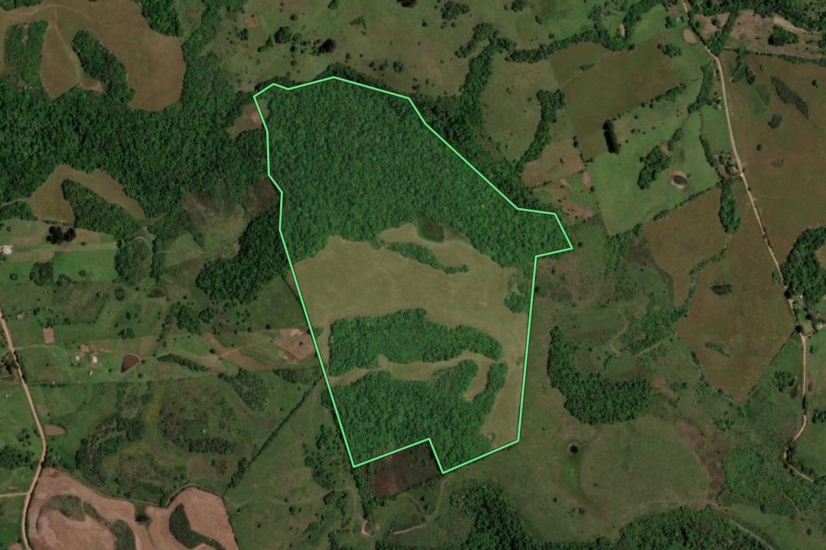 Imagem de satélite do imóvel rural em Quevedos (RS), com o contorno declarado no CAR desenhado por cima.