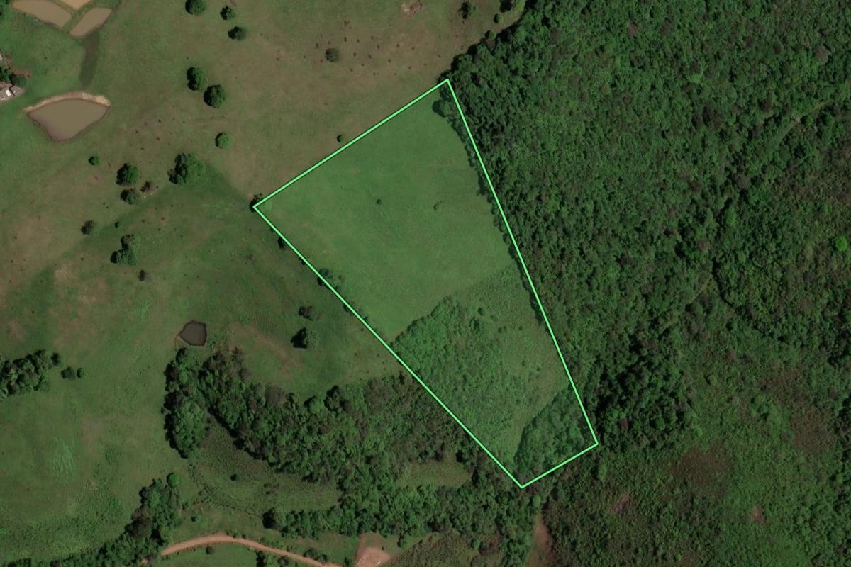 Imagem de satélite do imóvel rural em Quevedos (RS), com o contorno declarado no CAR desenhado por cima.