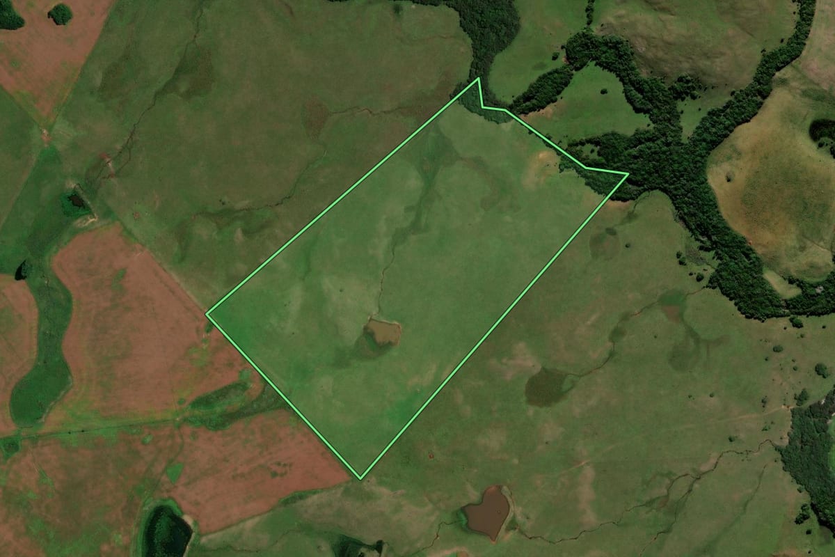Imagem de satélite do imóvel rural em Quevedos (RS), com o contorno declarado no CAR desenhado por cima.