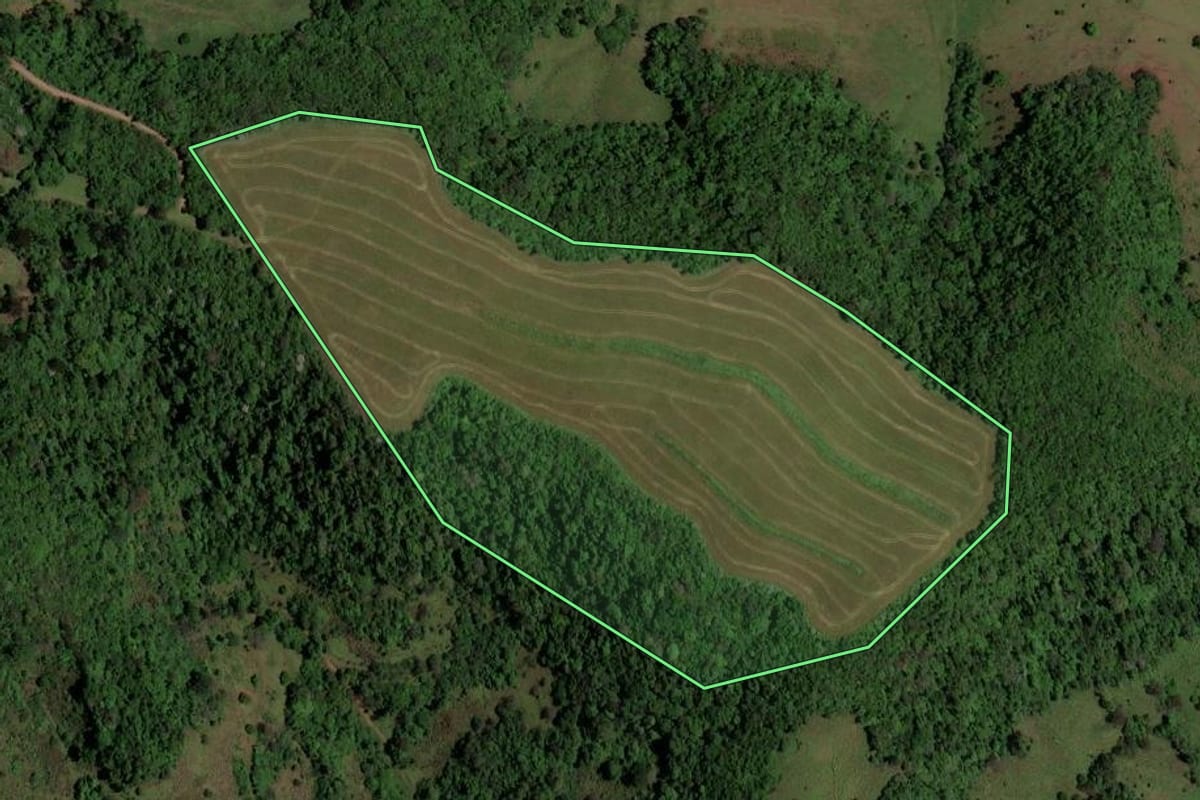 Imagem de satélite do imóvel rural em Quevedos (RS), com o contorno declarado no CAR desenhado por cima.