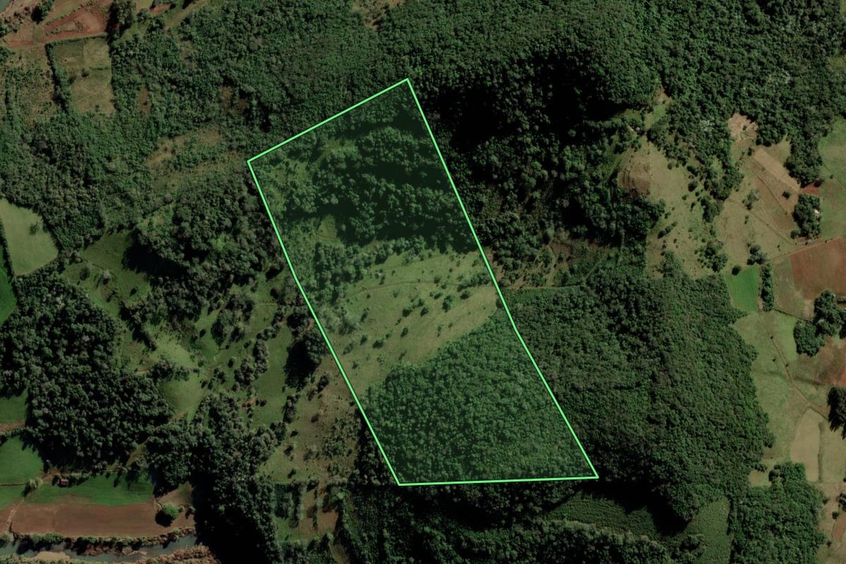 Imagem de satélite do imóvel rural em Quevedos (RS), com o contorno declarado no CAR desenhado por cima.